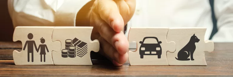 New York Equitable Distribution laws